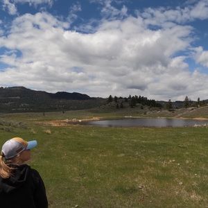 Meet your Posher, Maggie